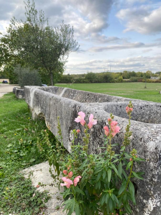 Domaine De La Laigne - Spa Asnieres-la-Giraud Ngoại thất bức ảnh